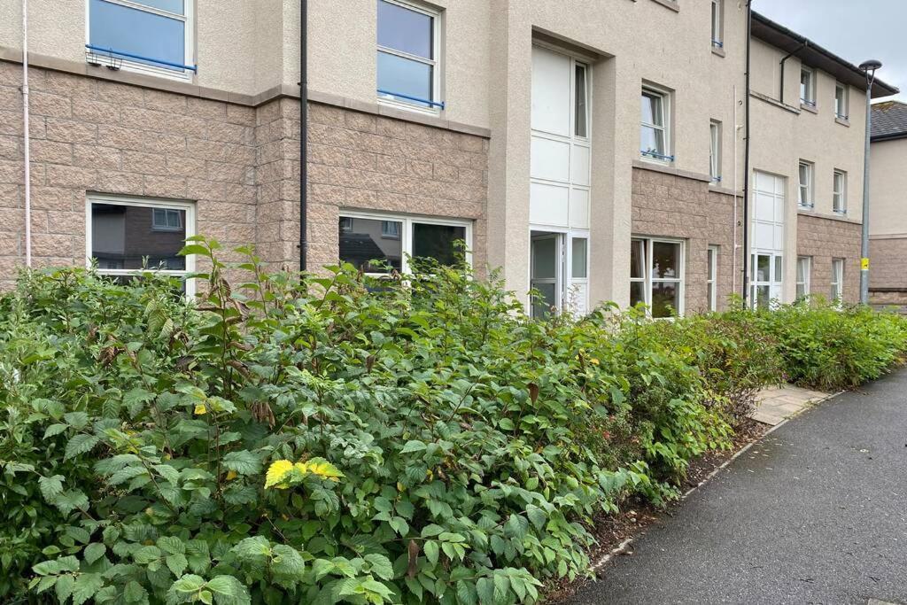 Peter Pan Apartment In The Heart Of Inverness Dalneigh Bagian luar foto